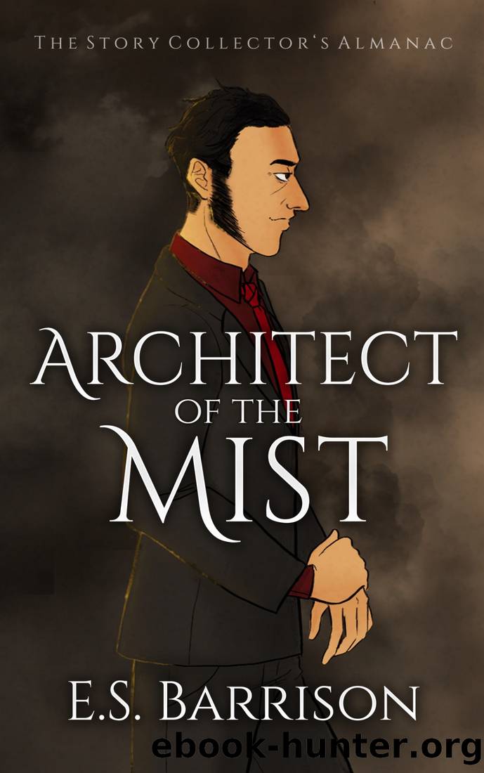 Architect of the Mist by E.S. Barrison