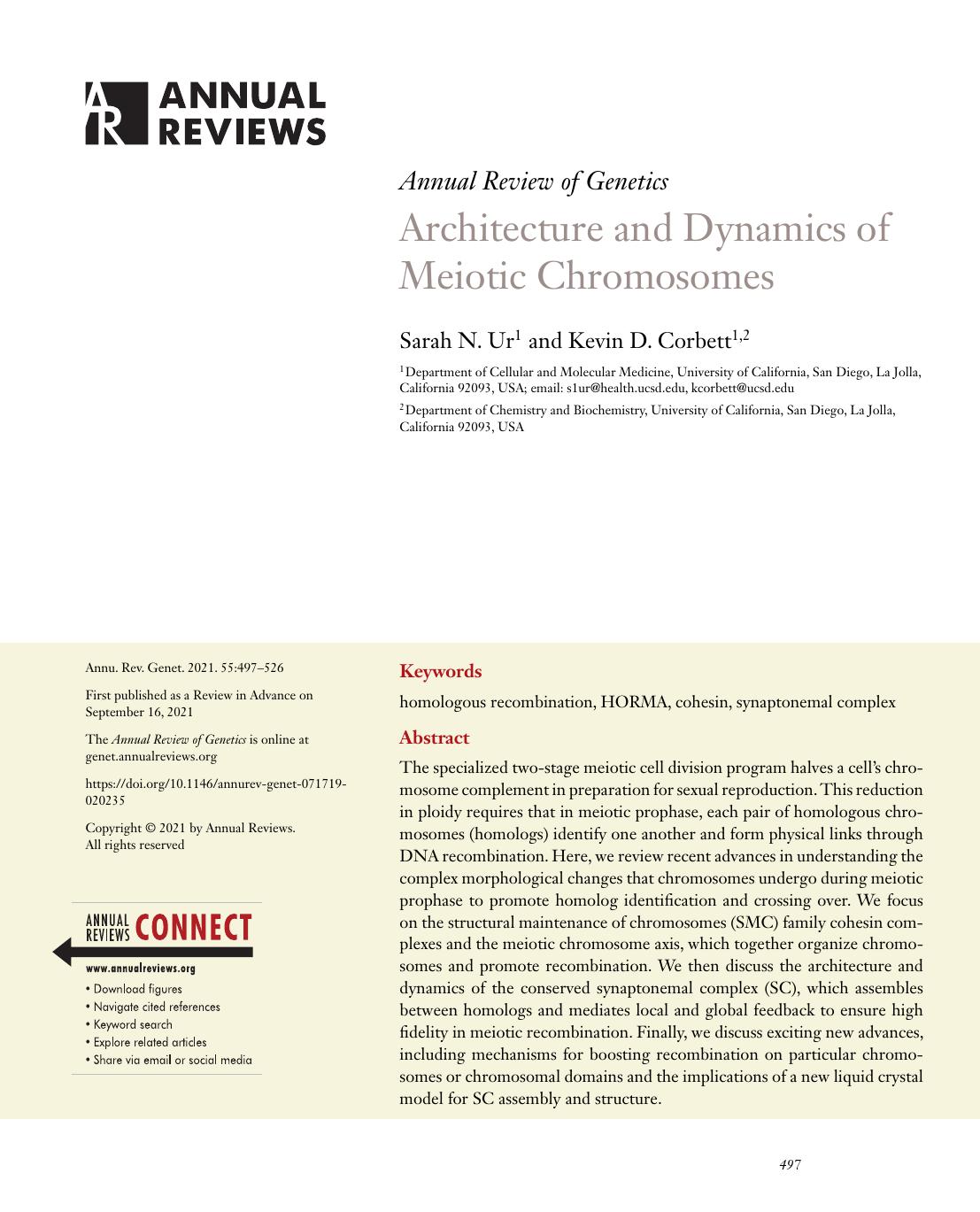 Architecture and Dynamics of Meiotic Chromosomes by Sarah N. Ur and Kevin D. Corbett
