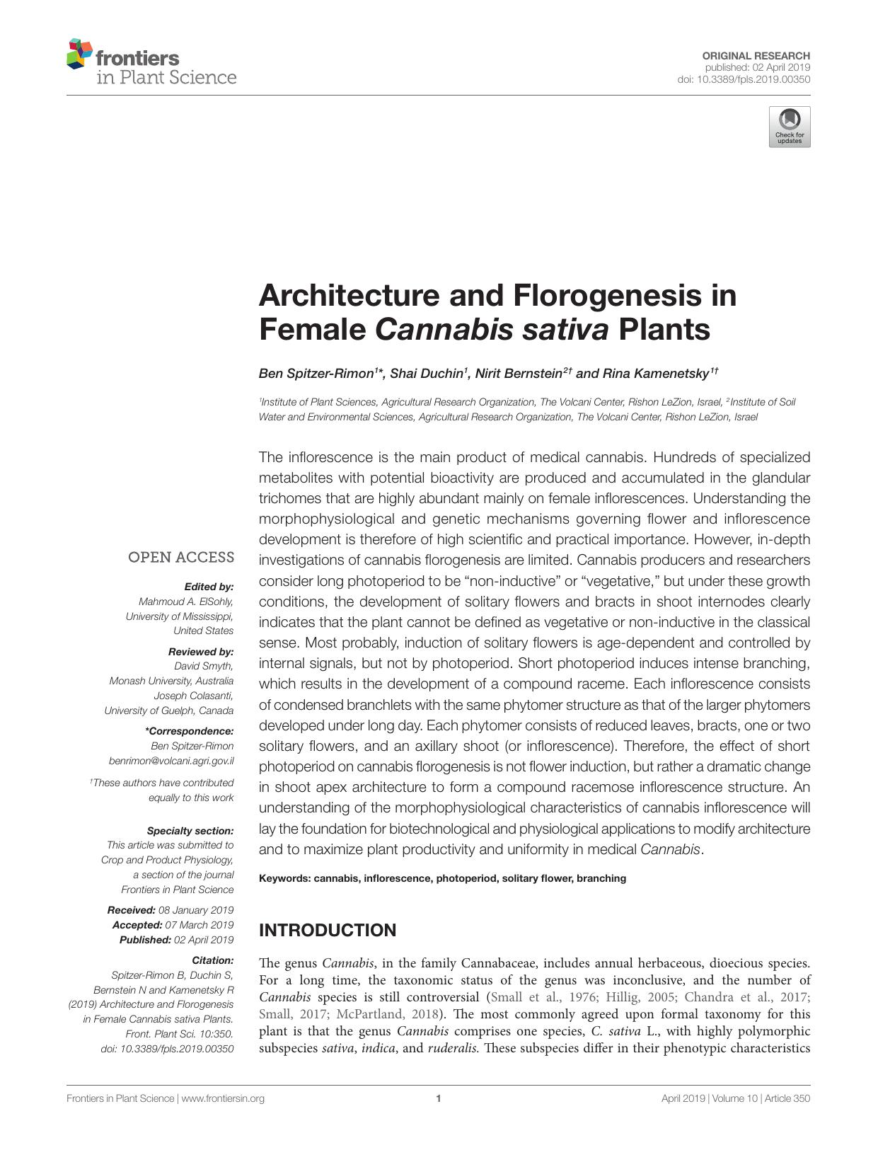 Architecture and Florogenesis in Female ï»¿Cannabis sativaï»¿ Plants by ﻿Ben﻿ ﻿Spitzer-Rimon﻿