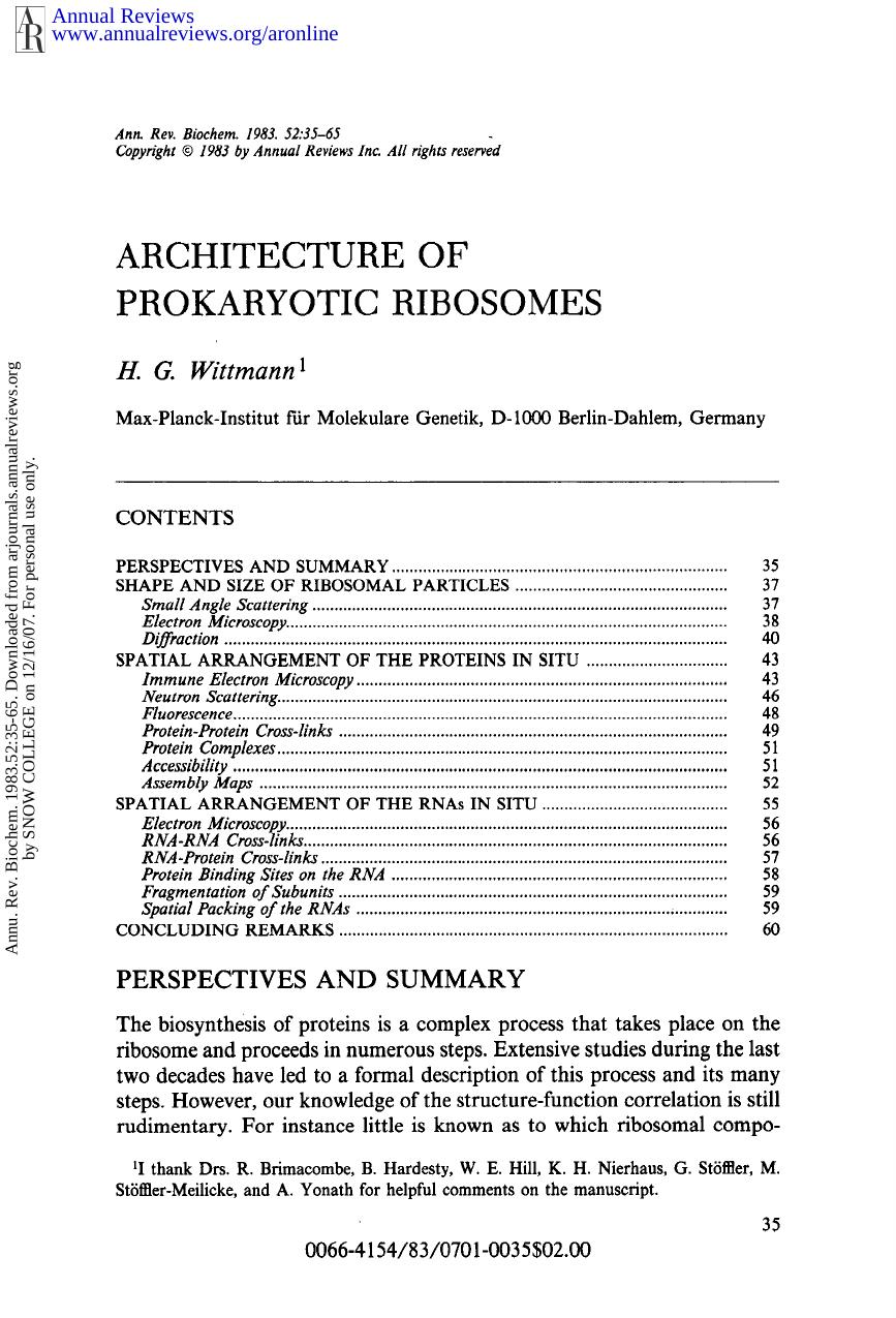 Architecture of Prokaryotic Ribosomes by H G Wittmann