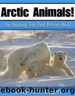 Arctic Animals by Mary Ann Rogers