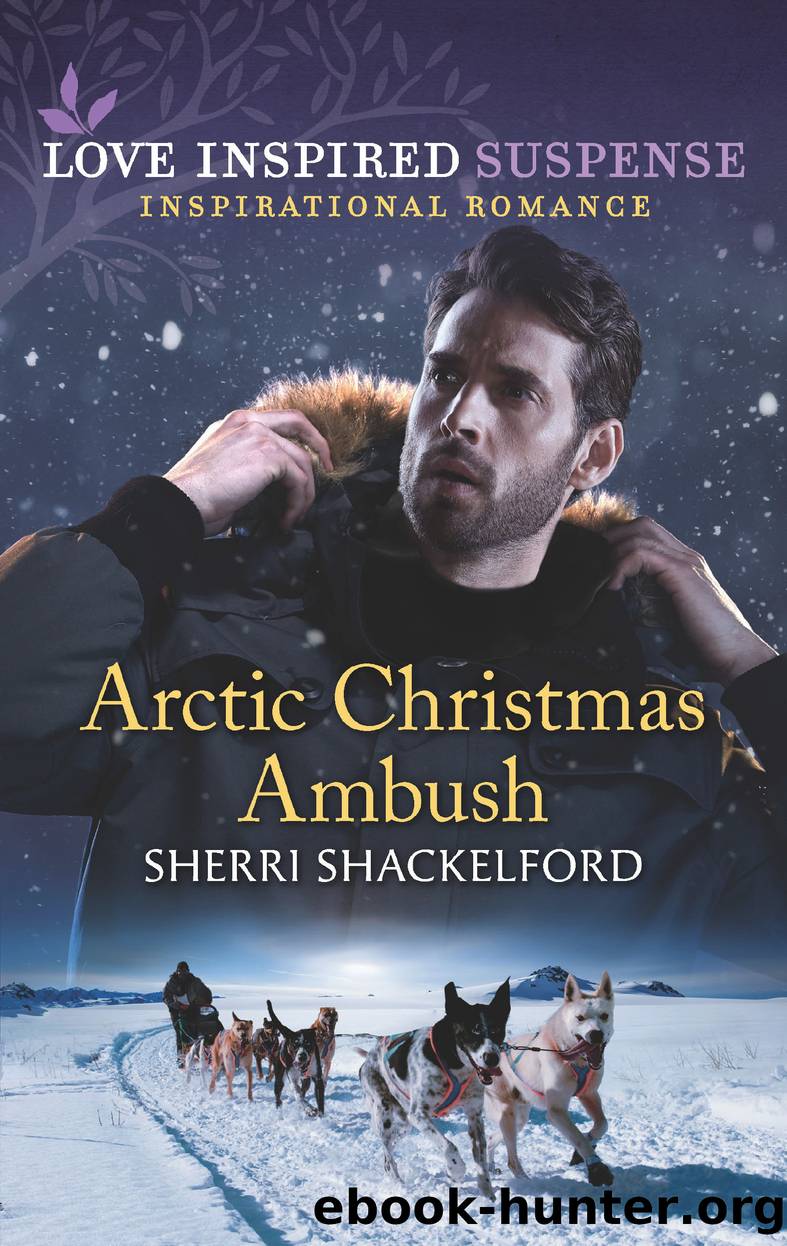 Arctic Christmas Ambush by Sherri Shackelford