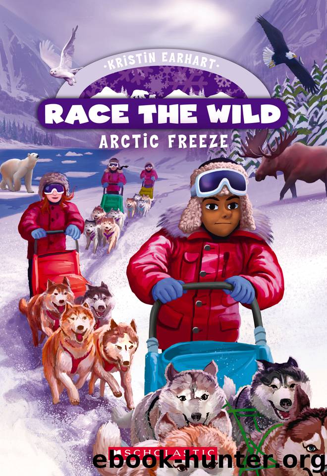 Arctic Freeze by Kristin Earhart