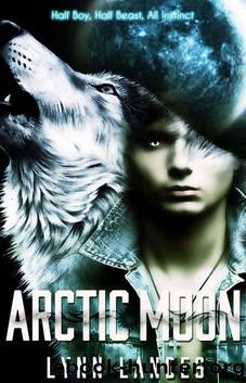 Arctic Moon by Lynn Landes