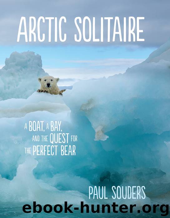 Arctic Solitaire by Paul Souders