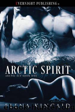 Arctic Spirit (Arctic Ice Book 1) by Elena Kincaid