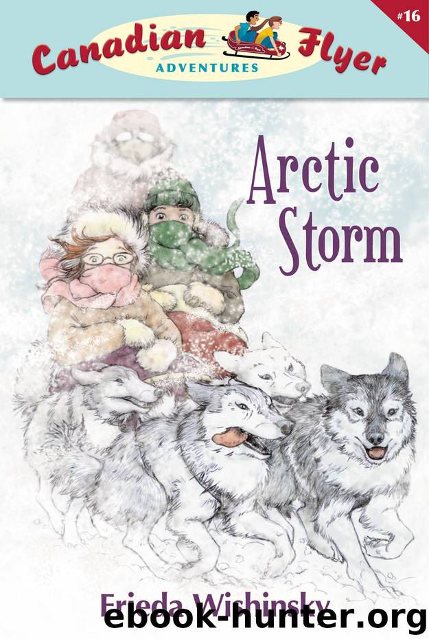 Arctic Storm by Frieda Wishinsky & Patricia Ann Lewis-MacDougall