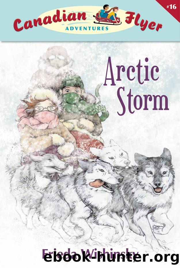 Arctic Storm by Frieda Wishinsky