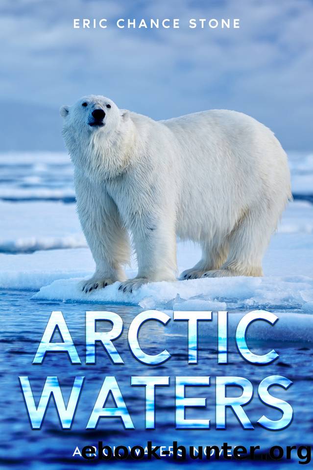 Arctic Waters: A Rick Waters Novel by Eric Chance Stone