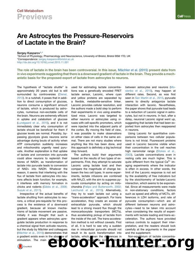 Are Astrocytes the Pressure-Reservoirs of Lactate in the Brain? by Sergey Kasparov