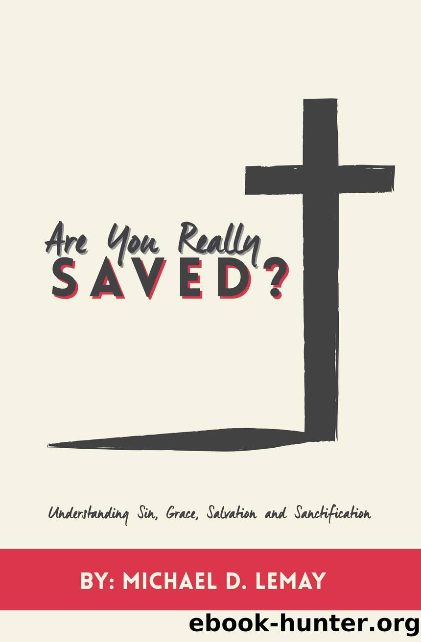 Are You Really Saved?: Understanding Sin, Grace, Salvation and Sanctification by Michael D. LeMay