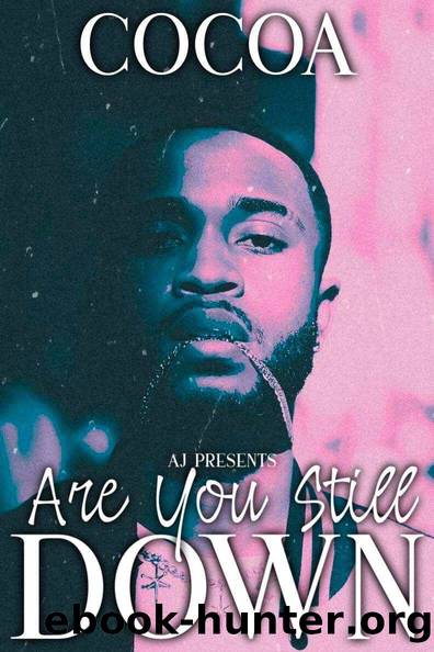 Are You Still Down by Cocoa Myles