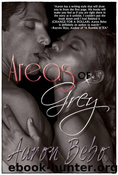 Areas of Grey (Long Story Short...) by Aaron Bebo