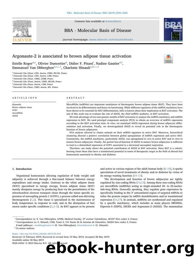 Argonaute-2 is associated to brown adipose tissue activation by unknow
