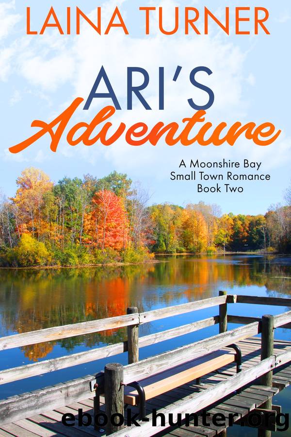 Ari's Adventure by Laina Turner