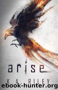 Arise: A Dystopian Novel (The Ravenmaster Chronicles Book 1) by K. A. Riley