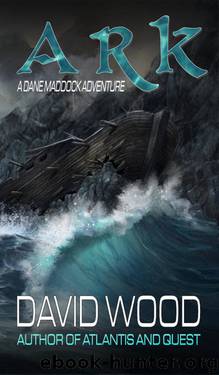 Ark by David Wood