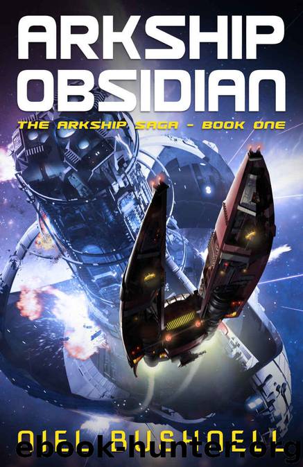 Arkship Obsidian by Niel Bushnell