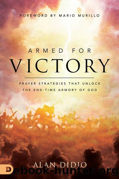 Armed for Victory by Alan DiDio