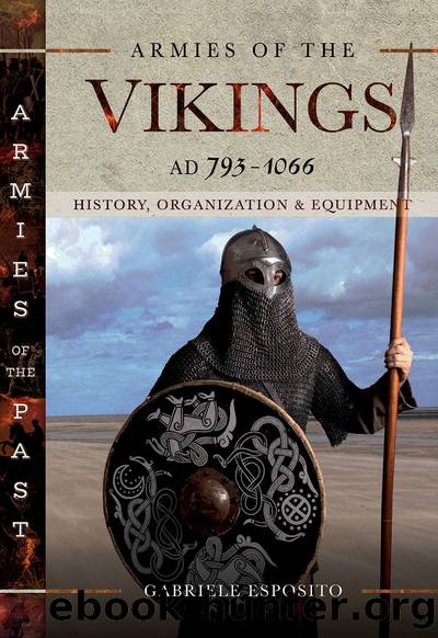 Armies of the Vikings, AD 793â1066 by Gabriele Esposito