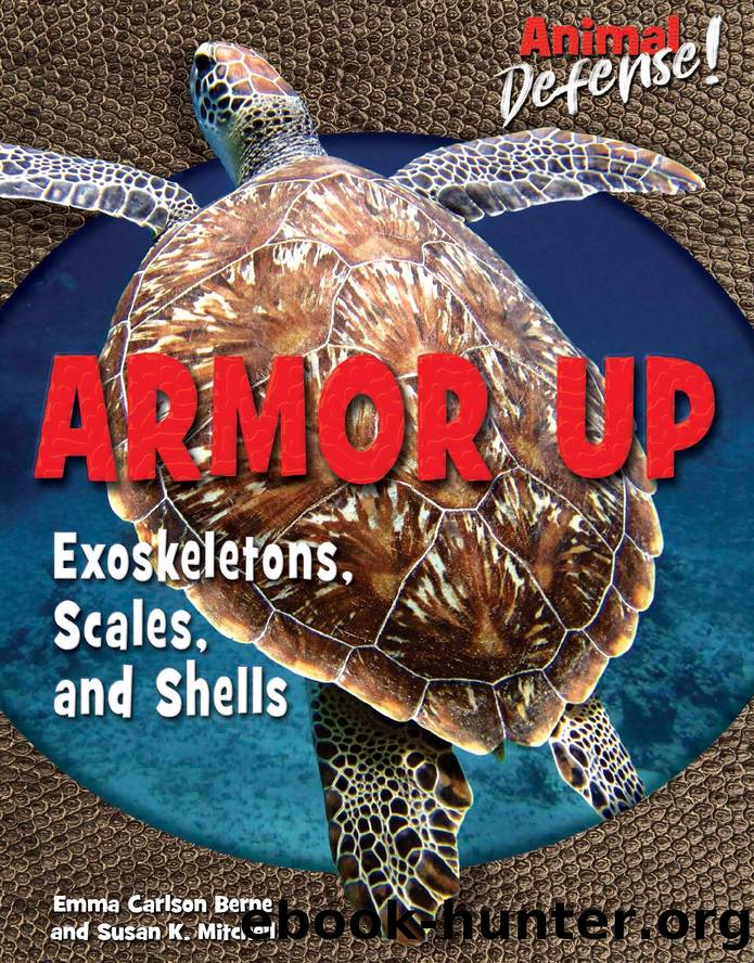Armor Up by Emma Carlson Berne