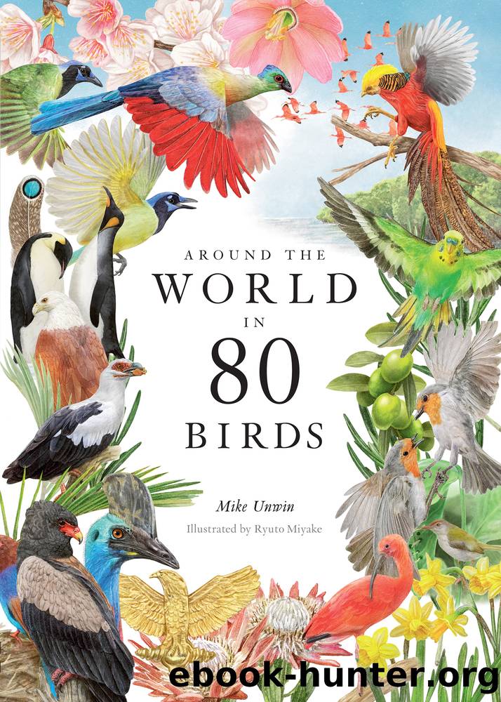 Around the World in 80 Birds by Unwin Mike;Miyake Ryuto;