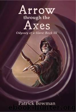 Arrow Through the Axes by Bowman Patrick;