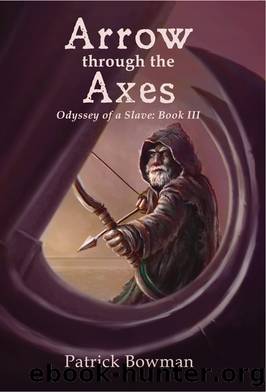 Arrow through the Axes by Patrick Bowman