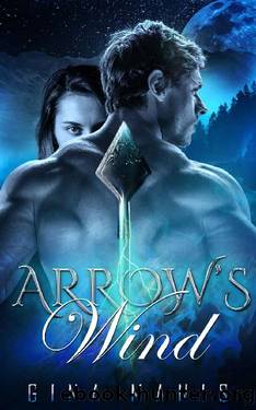 Arrow's Wind (The Healing Touch): The Elemental Realms by Gina Manis