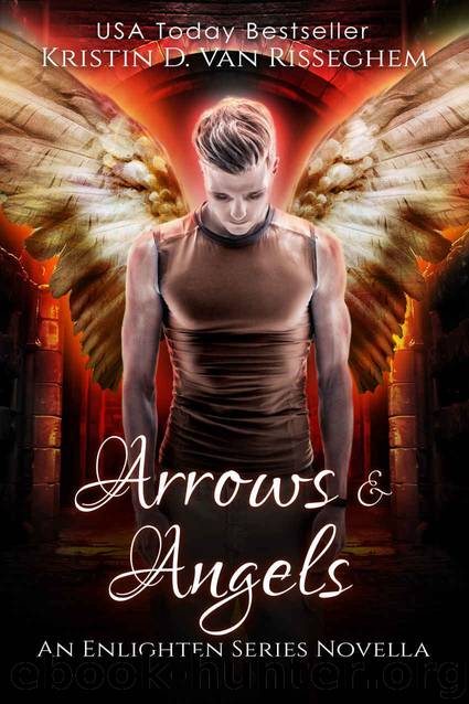 Arrows & Angels (Enlighten Series Book 0) by Kristin D. Van Risseghem