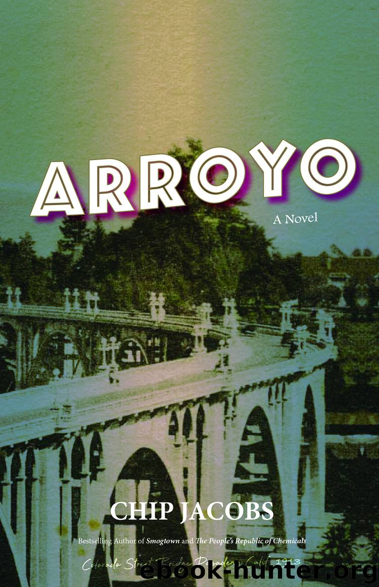 Arroyo by Chip Jacobs