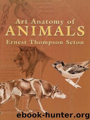 Art Anatomy of Animals by Ernest Thompson Seton