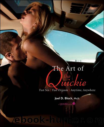 Art of the Quickie by Joel Block