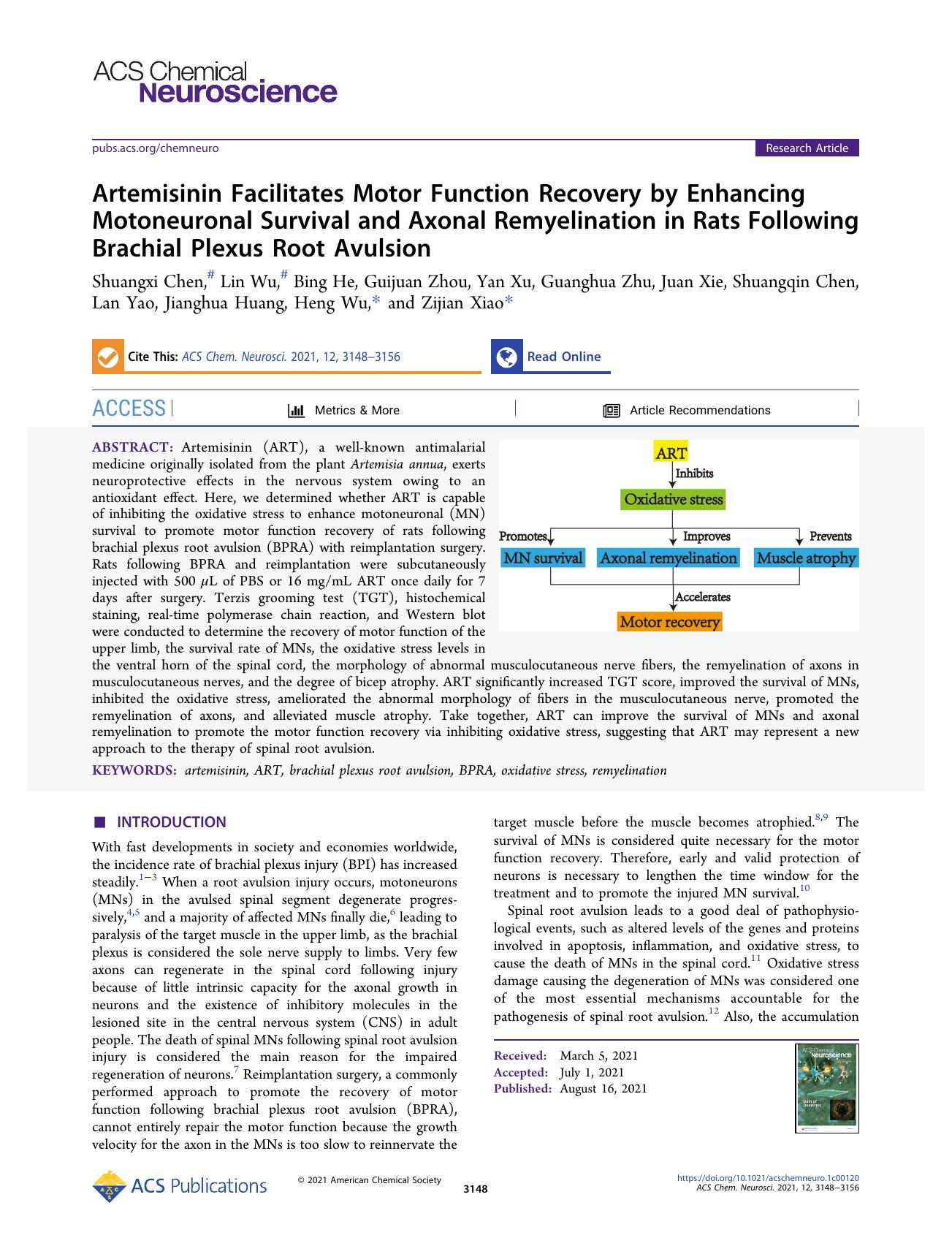 Artemisinin Facilitates Motor Function Recovery by Enhancing Motoneuronal Survival and Axonal Remyelination in Rats Following Brachial Plexus Root Avulsion by unknow