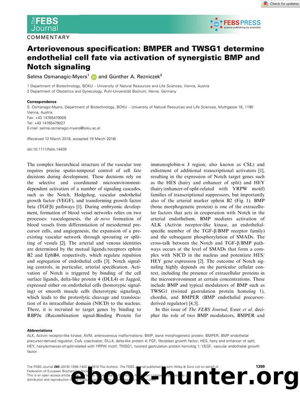 Arteriovenous specification: BMPER and TWSG1 determine endothelial cell fate via activation of synergistic BMP and Notch signaling by Unknown