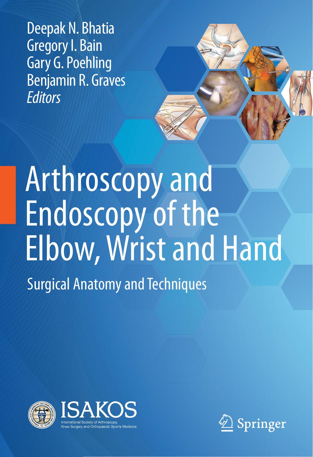 Arthroscopy and Endoscopy of the Elbow, Wrist and Hand: Surgical Anatomy and Techniques by unknow
