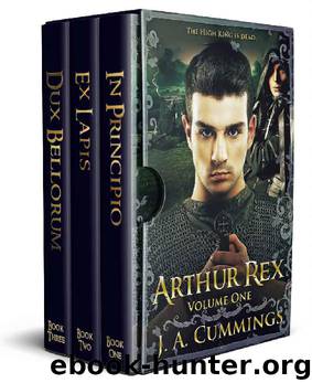 Arthur Rex: Volume One by J. A. Cummings