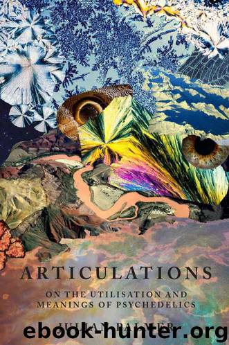 Articulations: On The Utilisation and Meanings of Psychedelics by Julian Palmer