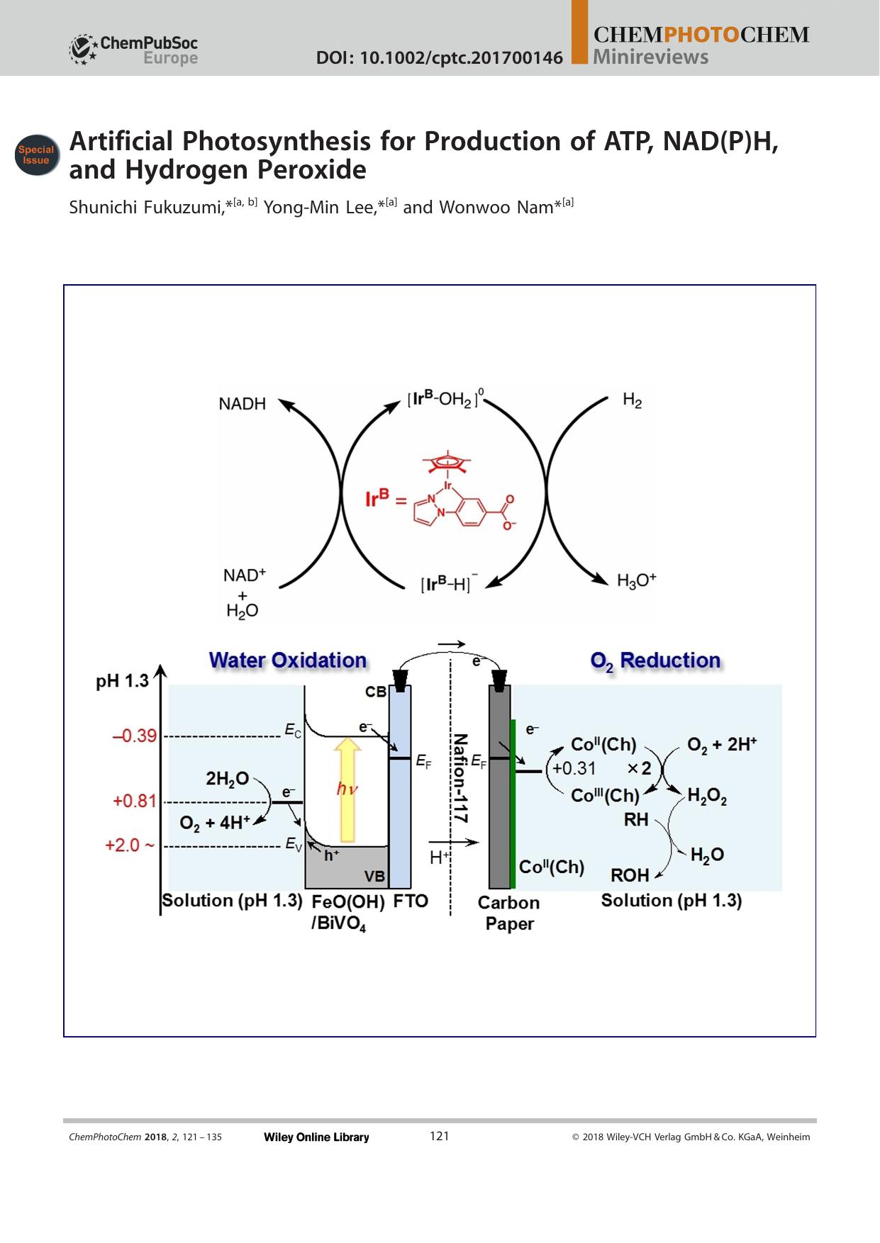 Artificial Photosynthesis for Production of ATP, NAD(P)H, and Hydrogen Peroxide by Unknown