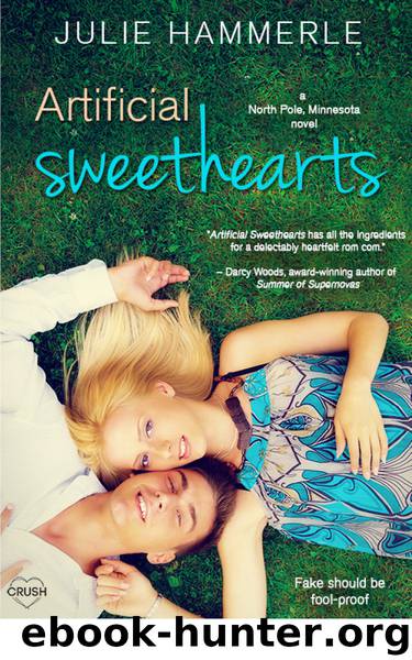 Artificial Sweethearts (North Pole, Minnesota) by Julie Hammerle