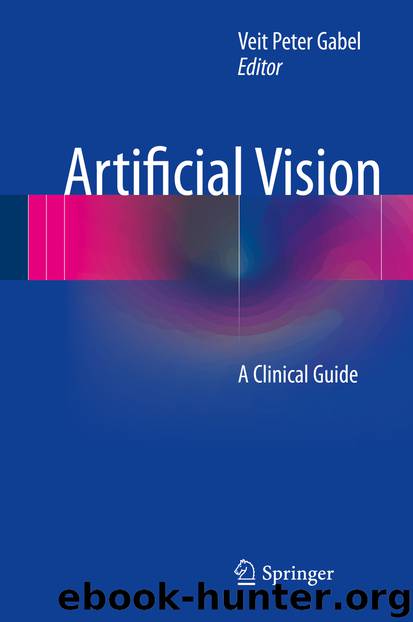 Artificial Vision by Veit Peter Gabel