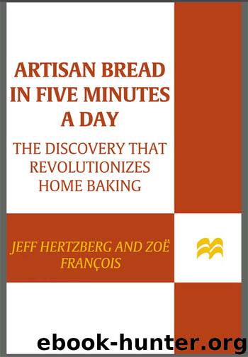Artisan Bread in Five Minutes a Day by Jeff Hertzberg M.D