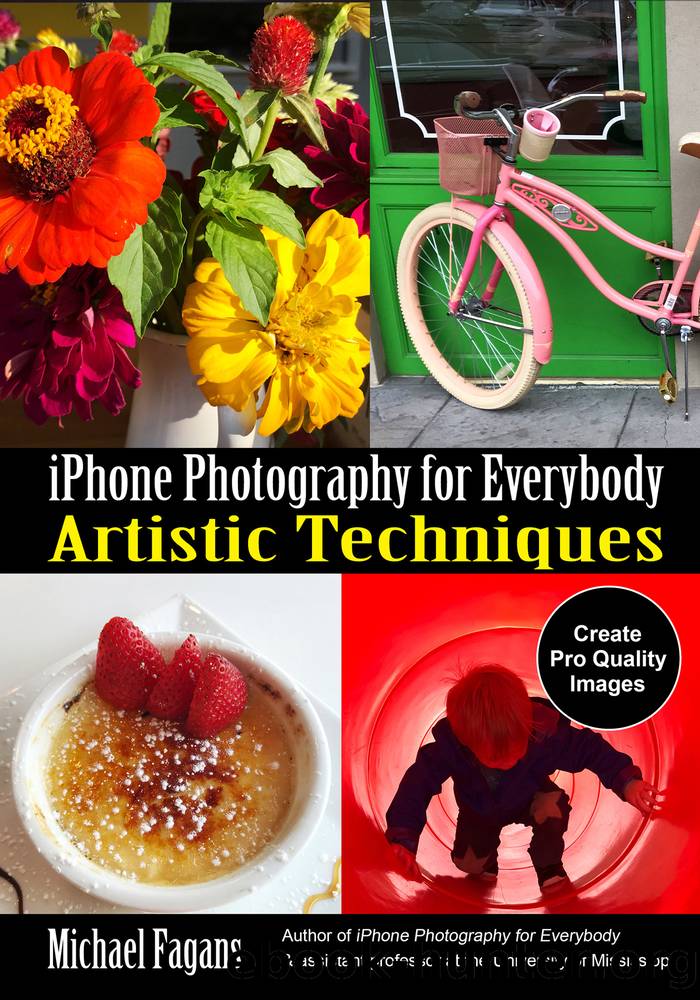 Artistic Techniques by Michael Fagans