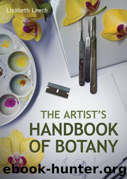 Artists Handbook of Botany by Leech Lizabeth;