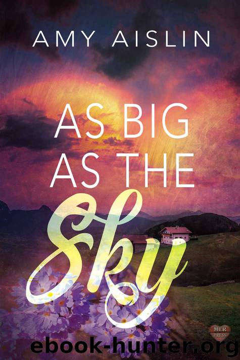 As Big As The Sky by Aislin Amy