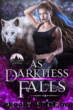 As Darkness Falls (Soulbound Shifters Book 2) by Riley Storm