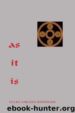 As It Is, Volume 2 by Urgyen Tulku Rinpoche
