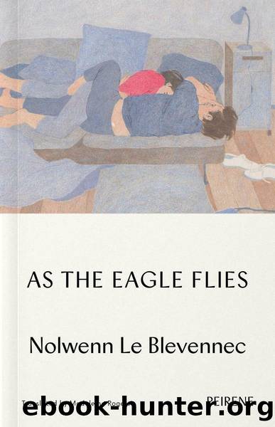 As the Eagle Flies by Unknown