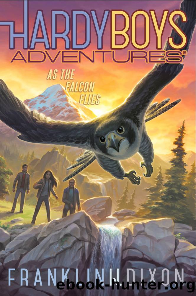 As the Falcon Flies by Franklin W. Dixon