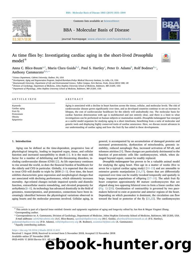 As time flies by_ Investigating cardiac aging in the short-lived Drosophila model by unknow